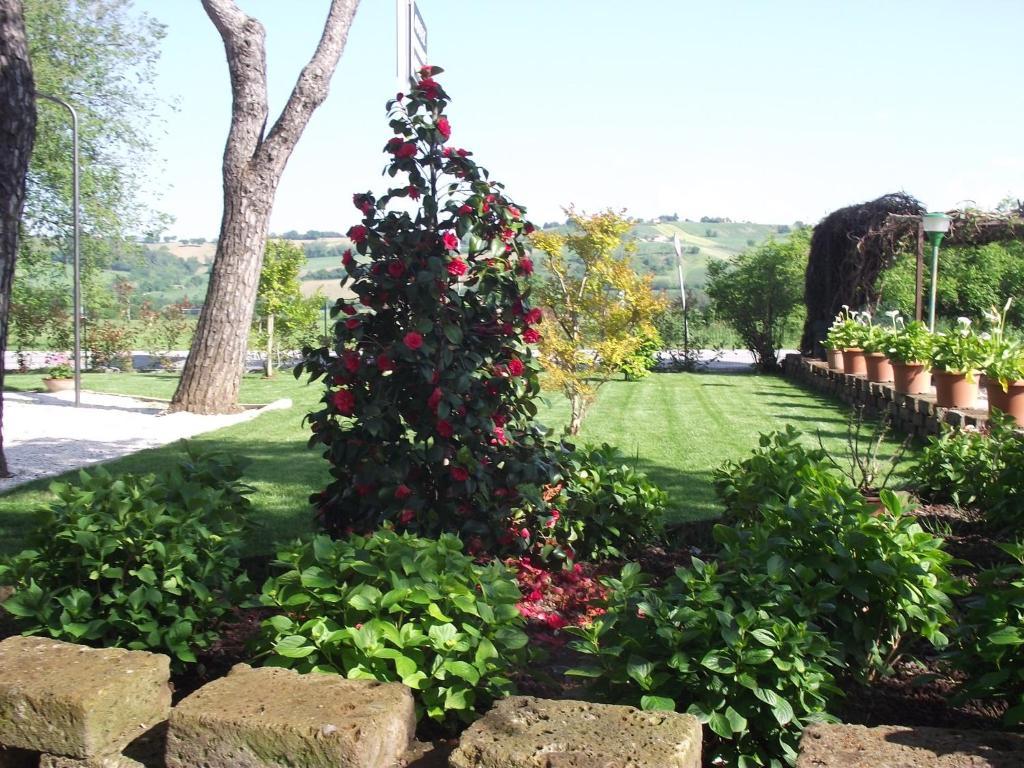 Hotel Ausonia Monte Porzio ภายนอก รูปภาพ